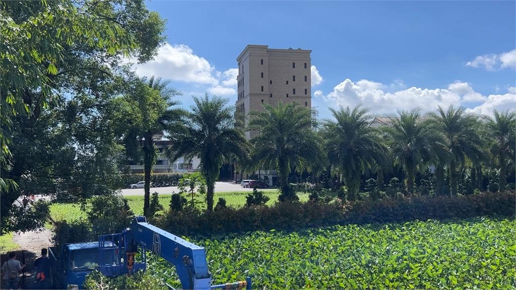 官邸農地竟變籃球場! 傅崐萁、徐榛蔚遭控「帶頭違法」