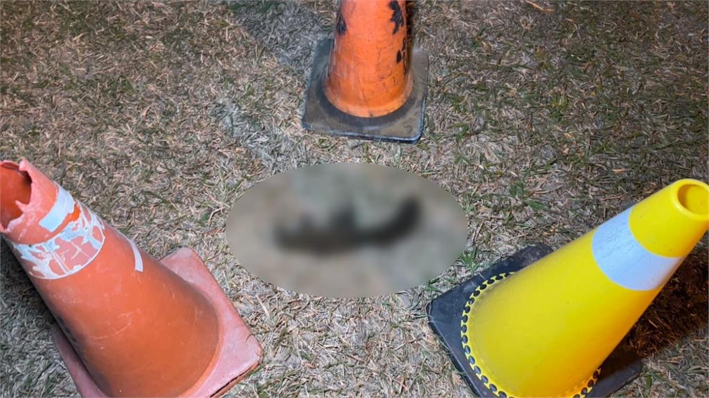 毒餌？男子台中中正公園沿路丟不明藥物　動保處獲報1松鼠死亡