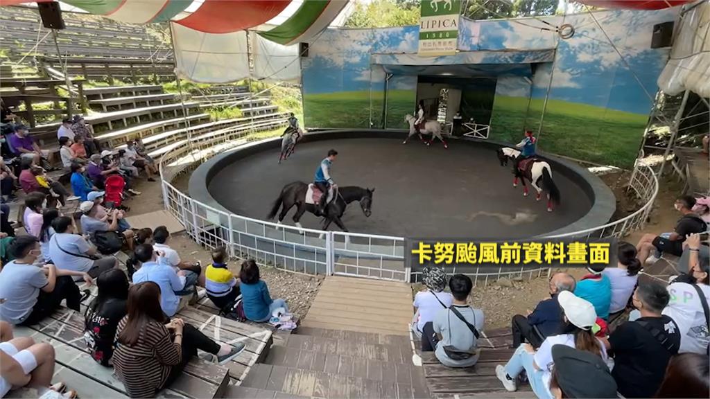 清境農場重開園　「遊客僅個位數」馬術秀暫停演出