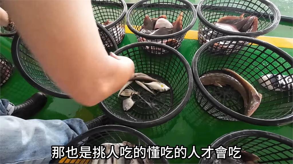 漁港現剖巨大白帶魚驚見「肚藏4鉤子」　影片Po網內行人揭真相