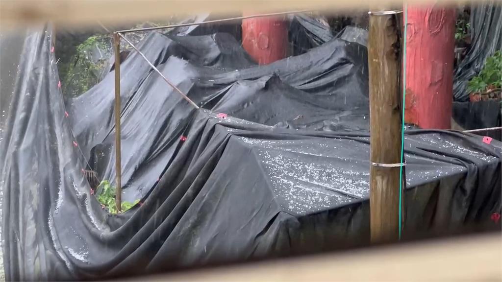 「幽靈」冷心低壓通過台灣 氣象署示警慎防午後強降雨
