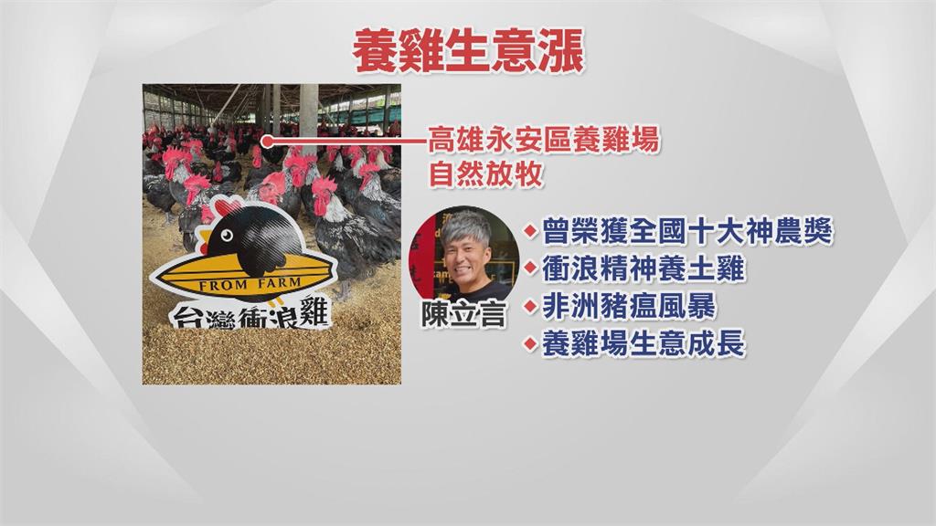 獨/非洲豬瘟帶動「買雞潮」 高雄雞農曝「生意明顯漲一成」