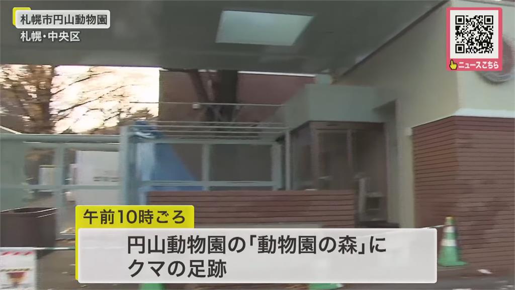 日本熊出沒! 青森拉麵店員「擊退黑熊」負傷上班