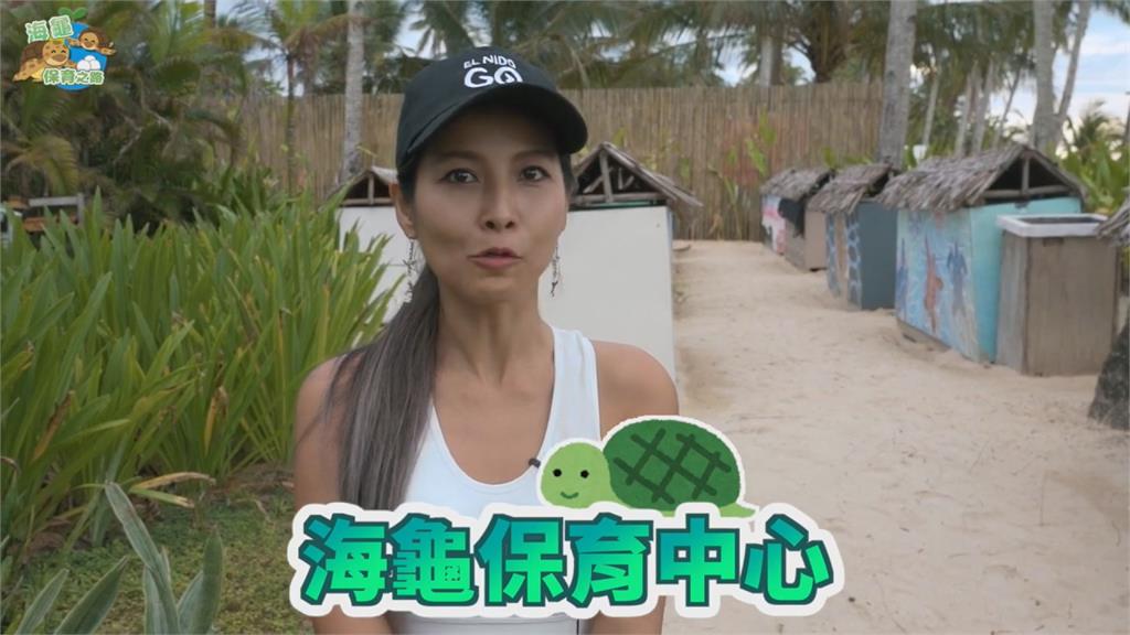 台灣美眉跨洋保育海龜！保育專家：從小地方做起　帶來希望跟改變