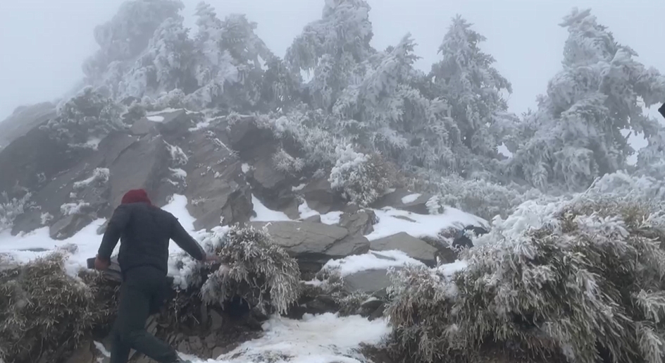 寒流餘威還在！合歡山又飄雪　遊客親眼目睹超驚喜