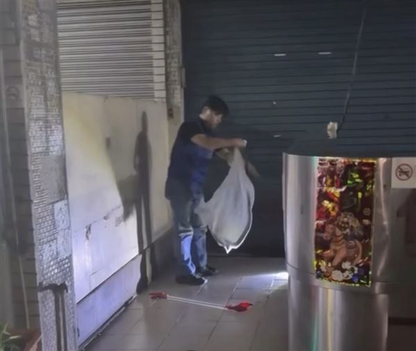 眼鏡蛇突竄路中央嚇壞騎士…急煞釀追撞 網笑:牠忘記戴眼鏡出門走錯