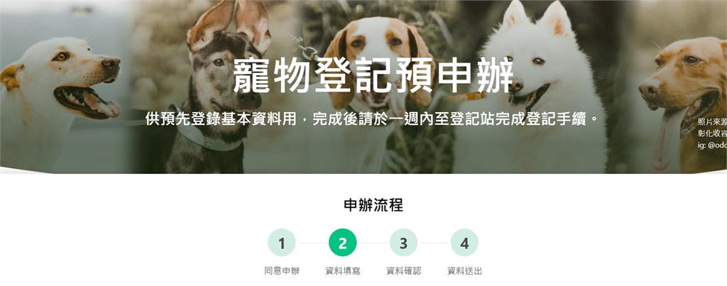 快新聞／快報戶口！網掀分享寵物身分證熱潮　明年元旦起未登記開罰