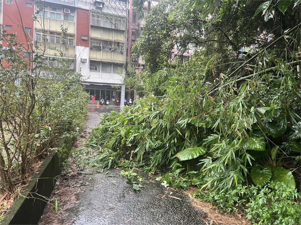 快新聞／北台豪雨！基隆暖暖東勢街土石滑落　路樹壓車輛畫面曝