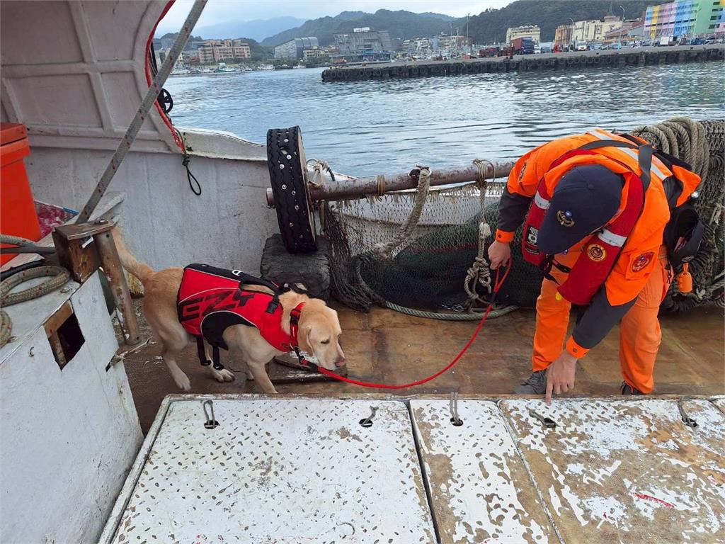 海巡「春節不打烊」擴大威力掃蕩！任務曝光「岸海齊心」打擊不法