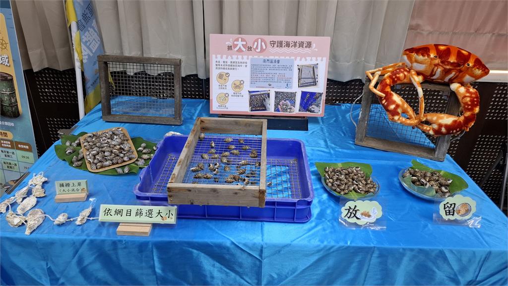 快新聞/台南海域回春?蚵棚不只養殖 白海豚現蹤震撼漁民