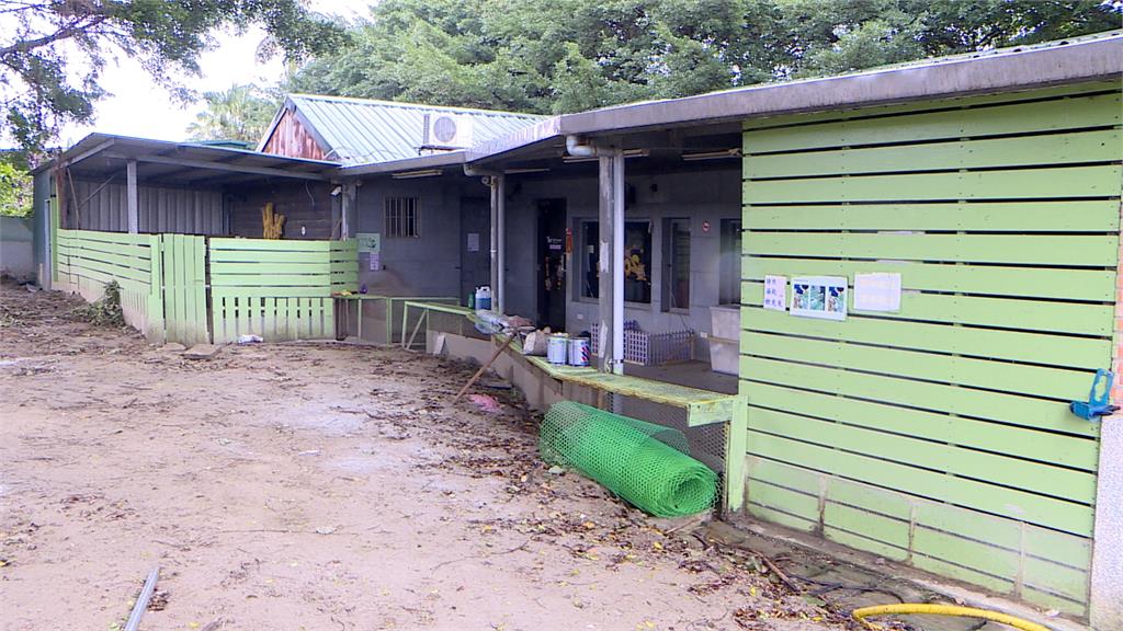 惡劣兔餐廳！非法展演大量病兔死亡　業者：生涯規劃停業