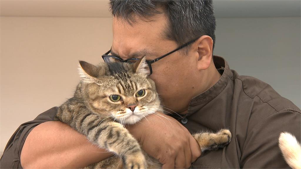 「貓咪年菜」和喵星人一起過年　新北議員林秉宥、李宇翔PK寵物年菜