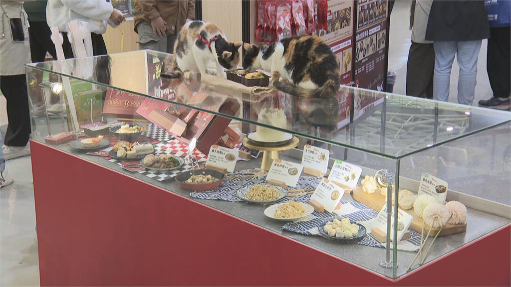南台灣最大寵物展開幕! 獸醫義診、毛孩年菜勿錯過