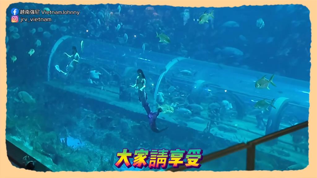 越南妞帶領攻略富國島！海灘藏秘境咖啡廳　他闖「避暑勝地」嗨喊：玩得好累