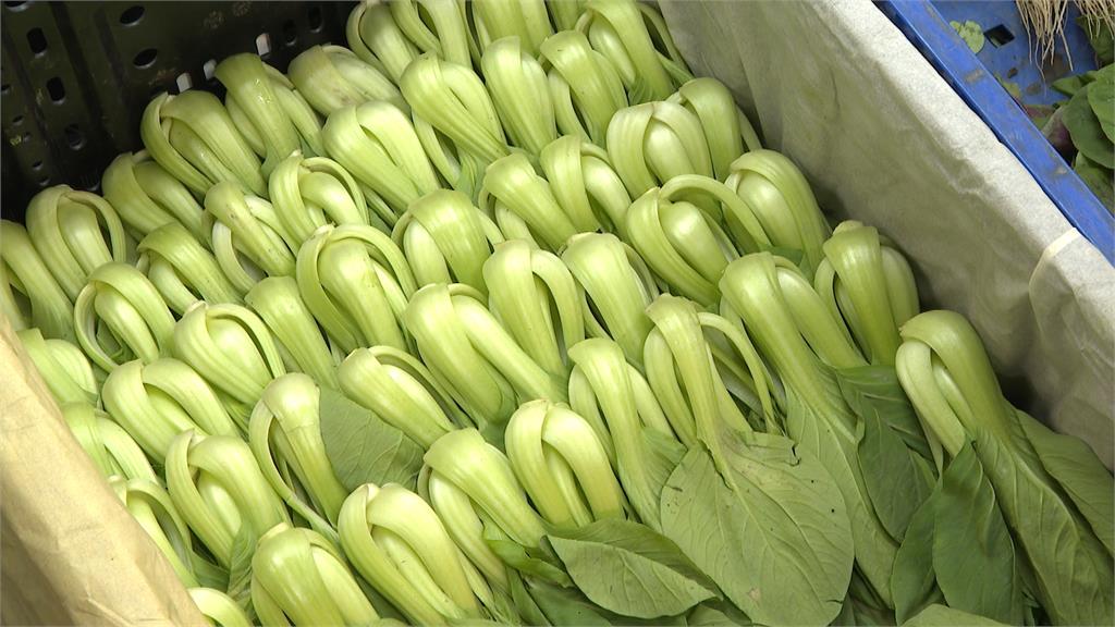 康芮轉強颱逼近!市場一早湧人潮 菜販:貨量充足、僅小漲一成
