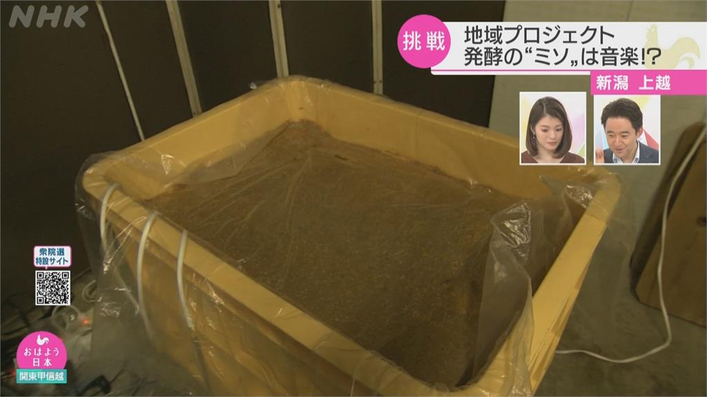 這款味噌「從小聽音樂長大」 味道香醇又好吃