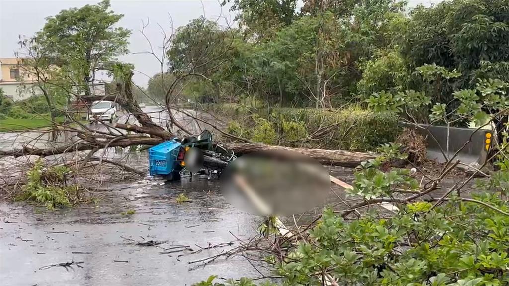 悲痛母親節!遭樹砸死郵務士出殯 媽媽淚崩令人鼻酸