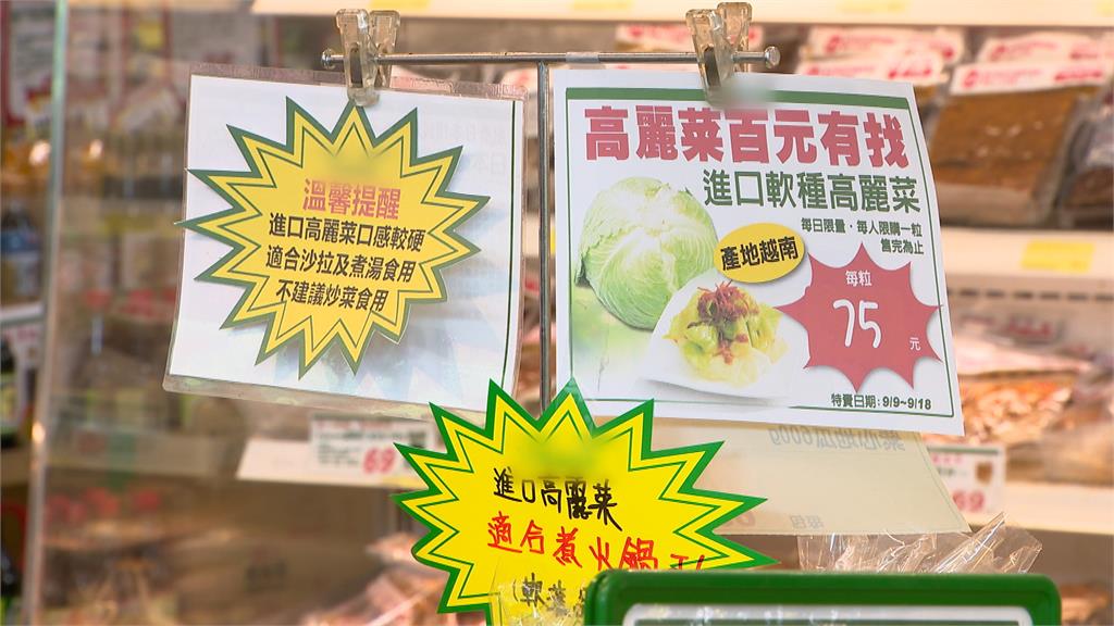 風災後國產高麗菜貴　進口高麗菜超市上架