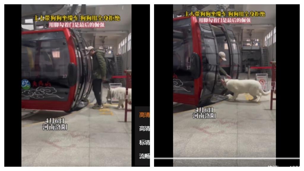 狗狗超怕坐纜車!白汪最後的倔強「狗爪鉤門不放棄」全網笑翻
