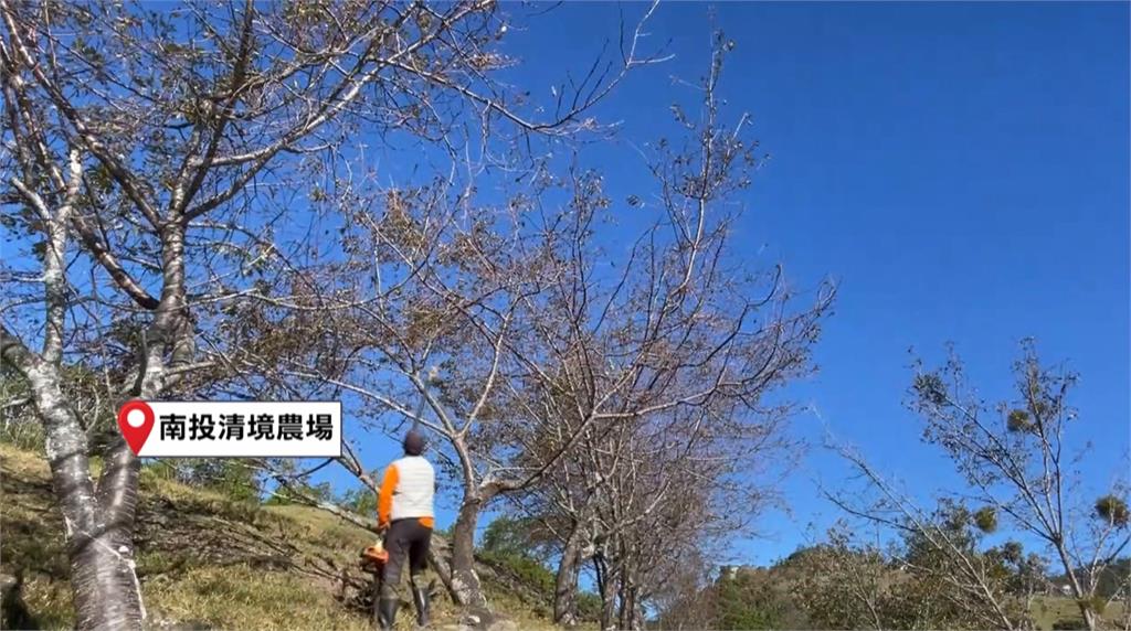 「鳳凰」颱風步步進逼！中部備戰　台中廚餘湖憂溢流、雲林稻農提前收割