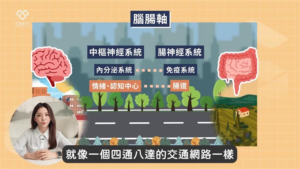 常吃超商恐釀憂鬱!醫師曝腸腦連結 「顧腸一口訣」有效改善健康狀況