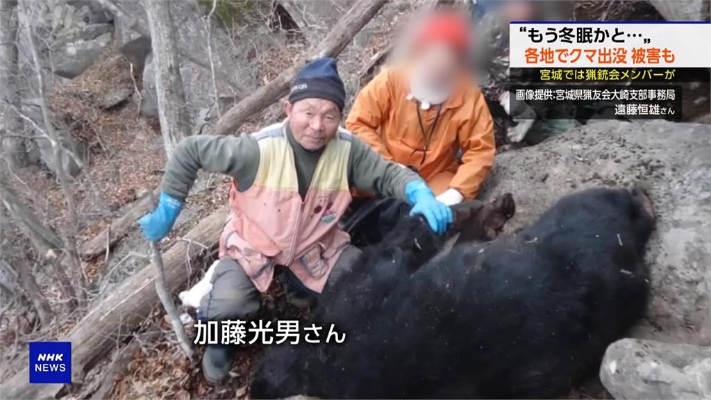 日本野熊不冬眠　宮城獵人查看陷阱慘遭熊反殺