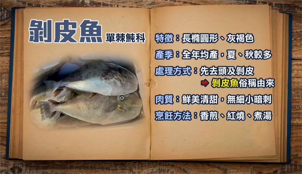 睽違四年! 剝皮魚"大咬" 50多艘漁船包圍潮境海灣