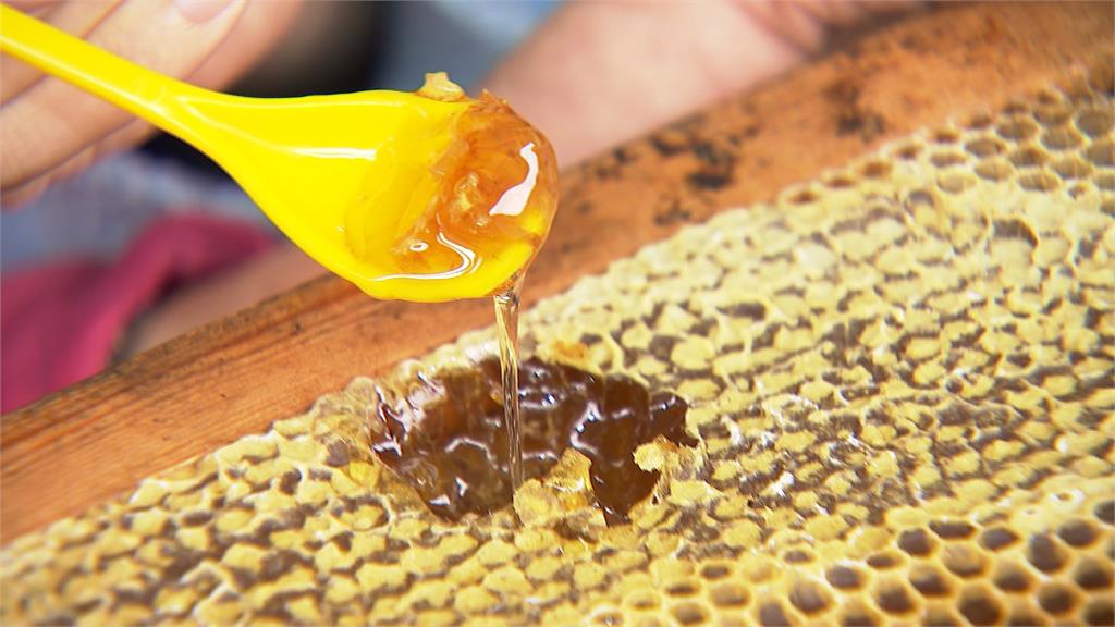 充滿母愛的天然蜂蜜 養蜂人陳美秀的養蜂故事