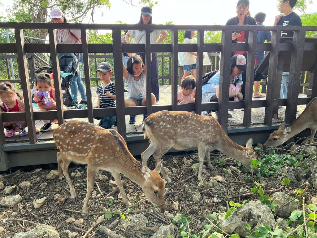 快新聞/感謝風災救援英雄辛勞! 壽山動物園憑證「年底前免費入園」