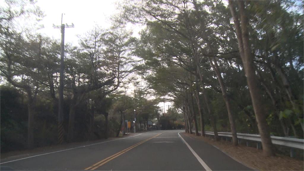 彰化139線7.2K處頻傳自撞事故 防撞新招竟是「彎道放床墊」?