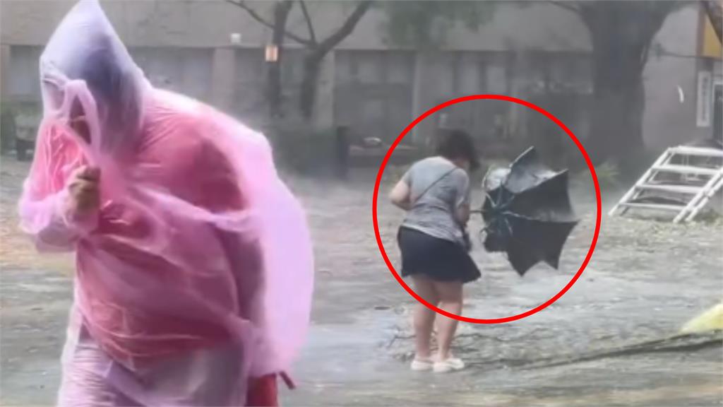 她秒變「彎腰落湯雞」冒雨掙扎 文大仇人坡驚見「雨傘菊花」滿地開!