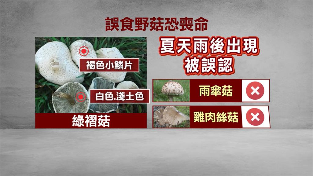 路邊野菇別吃！　一家3口疑誤食有毒「綠褶菇」上吐下瀉