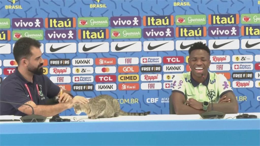 世足記者會喵星人鬧場！巴西22歲球員尷尬陪笑　官員當場出手扔貓惹議