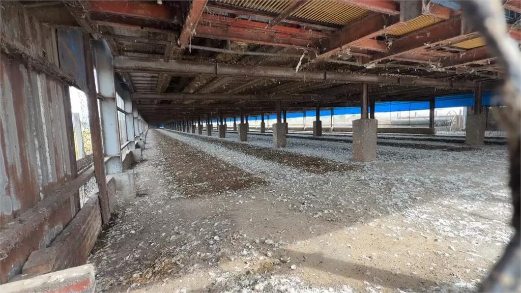 彰化案場16天3度驗出芬普尼蛋 檢調持續追查污染源