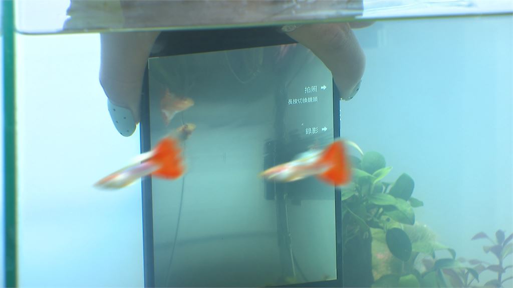 搭載聯發科天璣9600　Pro晶片　手機大廠旗艦新機效能暴衝