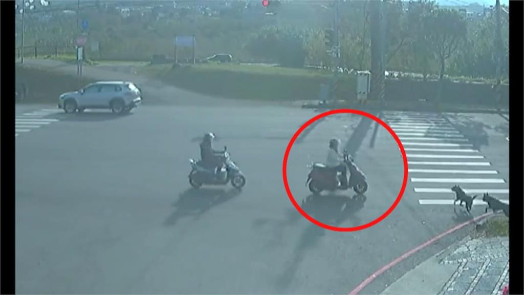 婦人騎車「犁田」全身擦挫傷 2黑狗闖禍「肇事逃逸」
