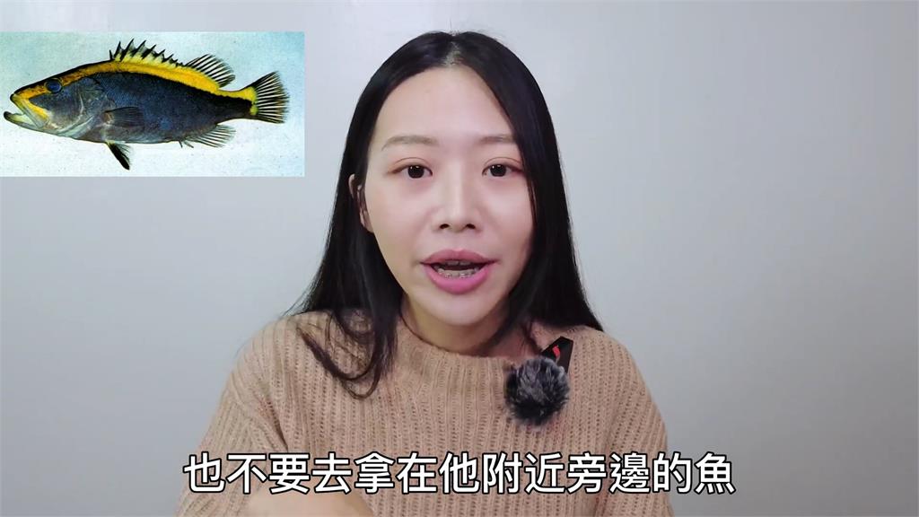 千萬不要買!正妹介紹3種非食用毒魚 連碰都不能碰:可能上新聞
