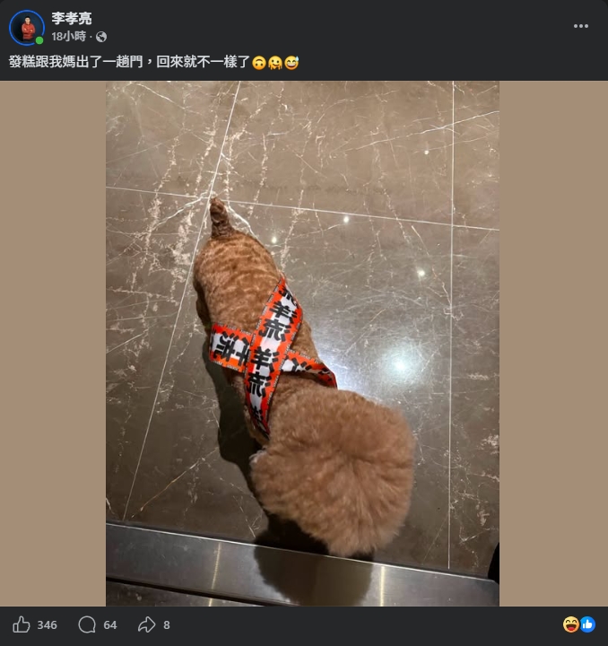 昔捲死亡連署！李孝亮突曬愛犬「掛洋流飄帶」揭媽媽做1事…網看愣：到底歷經什麼