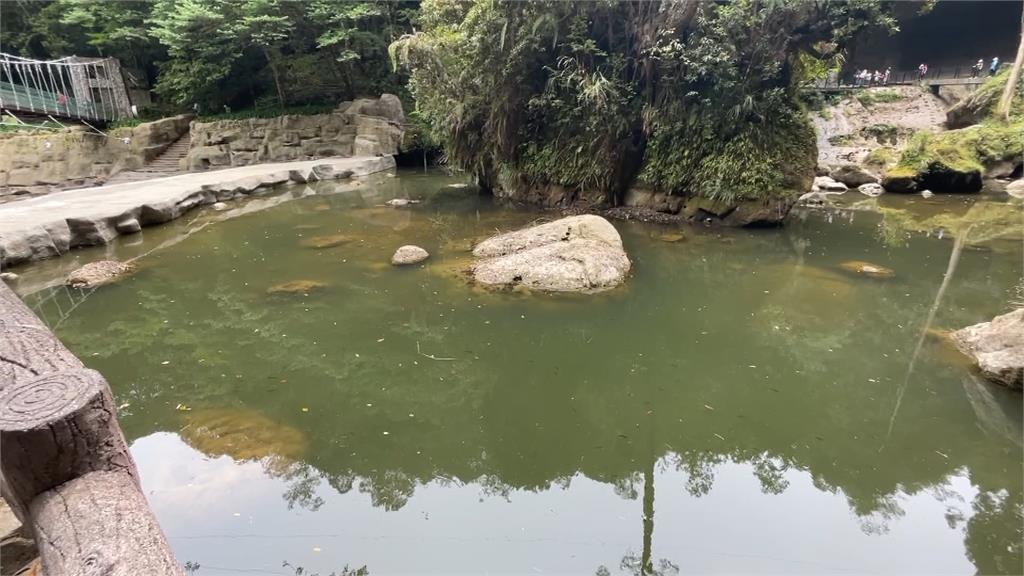 久旱不雨!日月潭快變「荒漠」 杉林溪松瀧岩壯闊瀑布變涓涓細流