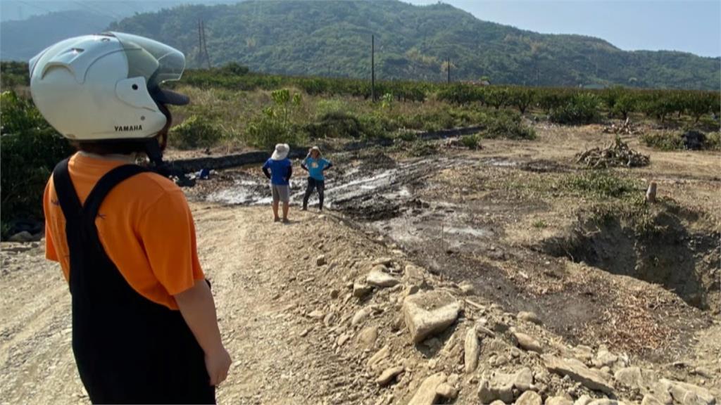 異言堂/光電與農民搶地?業者誤砍上百棵芒果樹