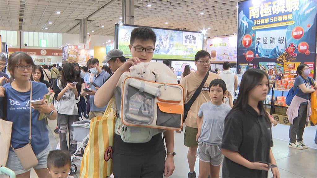最療癒盛會! 世界貓咪博覽會開跑 集結500品牌