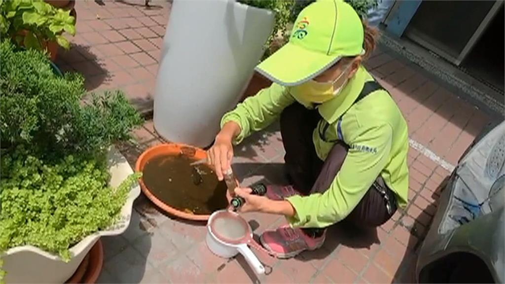 民怨下完雨盆栽積水就被開罰？　高市衛生局：採到孑孓