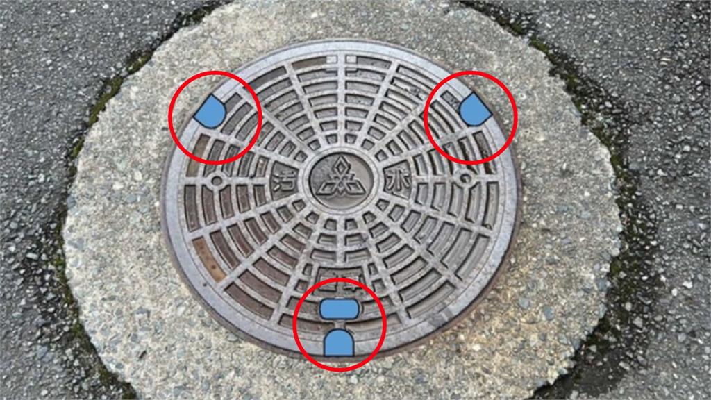 巨蟑侵入日本福岡嚇壞居民!道路「人孔蓋瘋狂竄出」背後1原因遭曝光