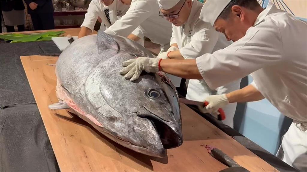 超澎派!!東港攤商出奇招 「黑鮪魚骨頭」當盤子裝生魚片