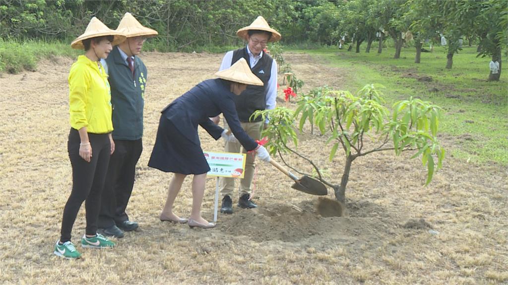 夏日瘋芒!「台南國際芒果節」 安倍遺孀種芒果樹象徵台日友好