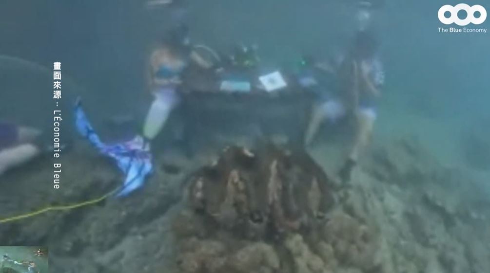 全球首位！　帛琉總統惠恕仁海中接受「美人魚」專訪