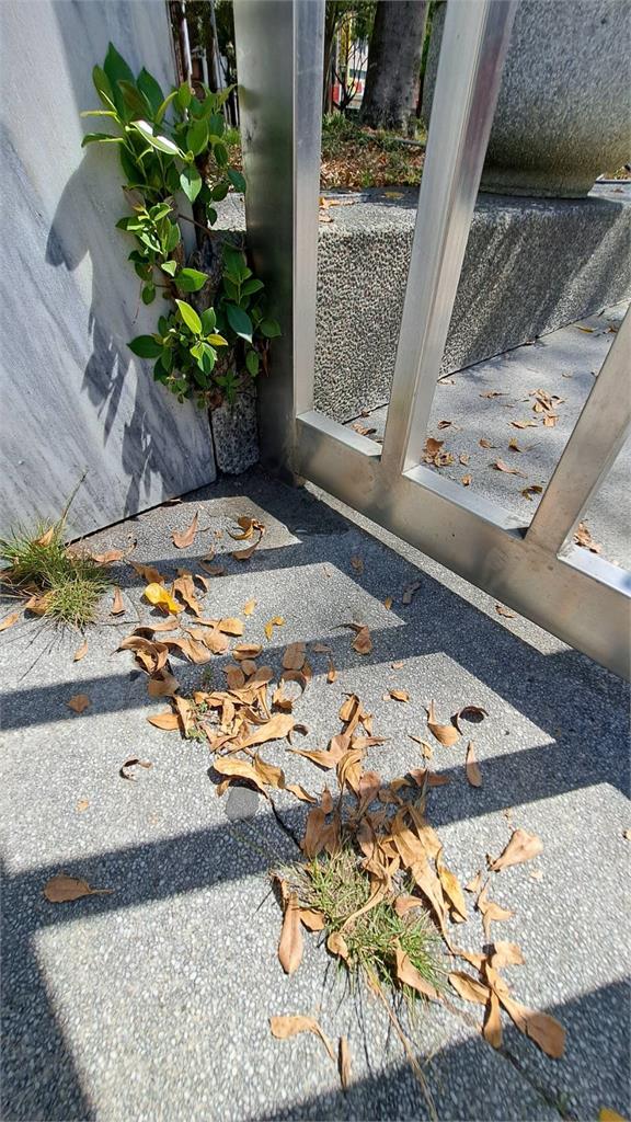 快新聞/誇張!深夜台中交通局傳爆炸聲嚇壞民眾 男子到案竟稱:撿到鞭炮想說試試看