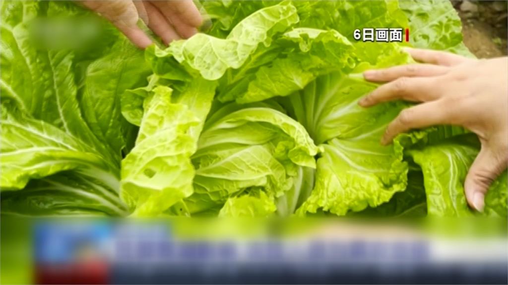 中國大範圍「斷崖式降溫」 單日狂掉10多度 北京積雪30公分