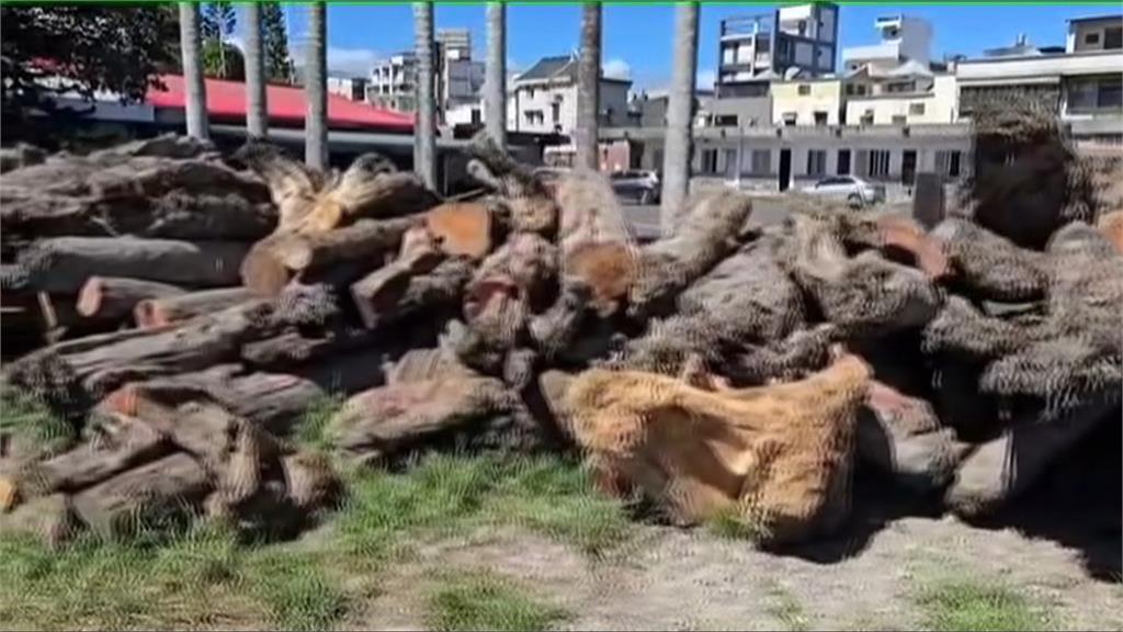 惡劣山老鼠！宜蘭租西瓜田「藏紅檜木」　疑司機侵占還「毆打勒索３６萬」