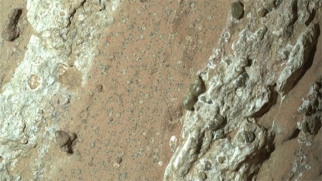 NASA發現火星生命新證據　岩石樣本藏遠古微生物跡象